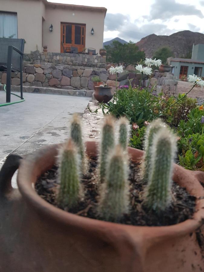 Tierra Primitiva Apartment Tilcara Exterior foto