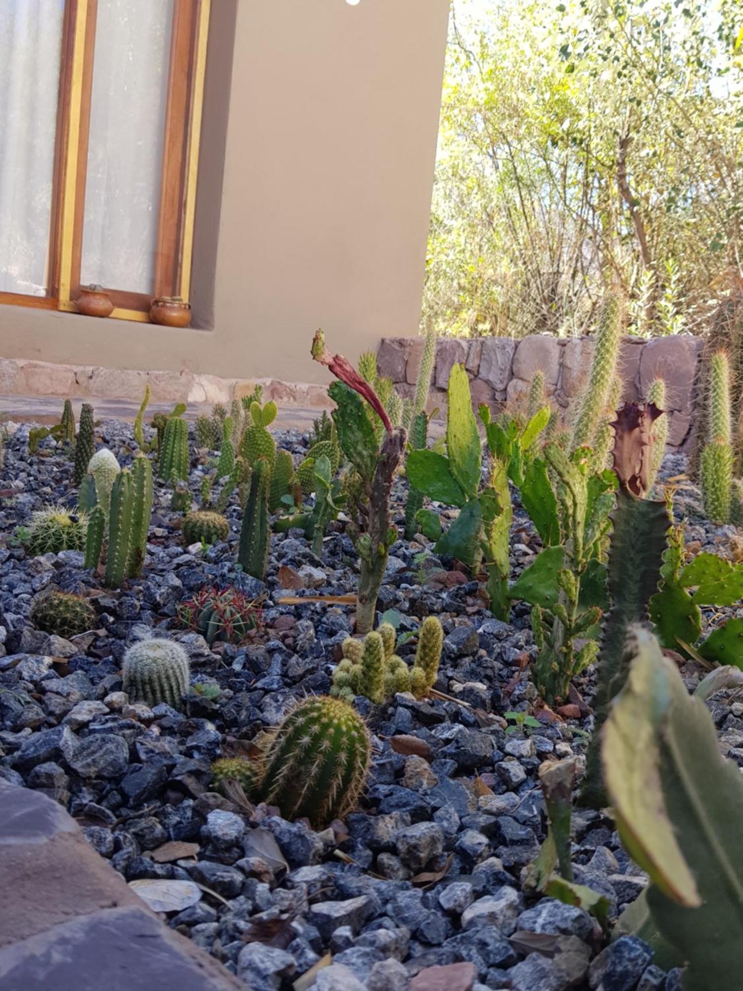 Tierra Primitiva Apartment Tilcara Exterior foto